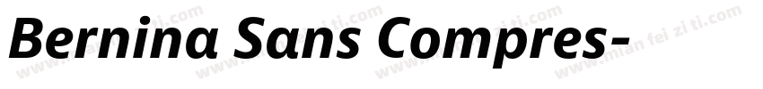 Bernina Sans Compres字体转换